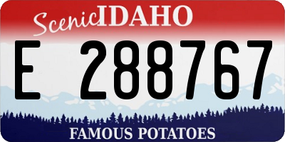 ID license plate E288767