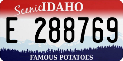 ID license plate E288769