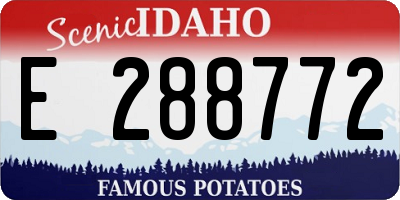 ID license plate E288772