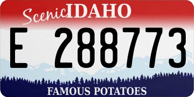 ID license plate E288773