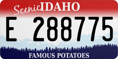 ID license plate E288775