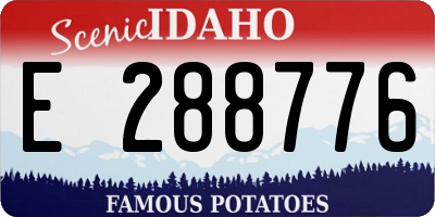 ID license plate E288776