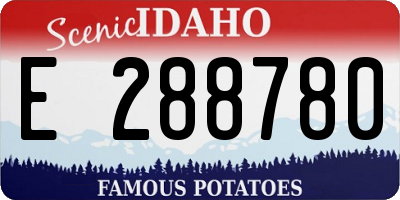 ID license plate E288780