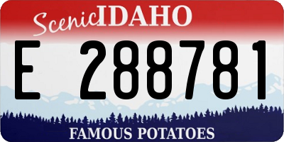 ID license plate E288781