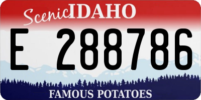 ID license plate E288786