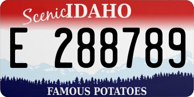 ID license plate E288789
