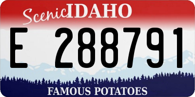 ID license plate E288791