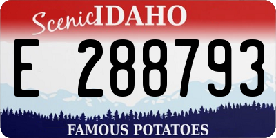 ID license plate E288793