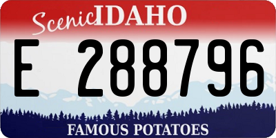 ID license plate E288796