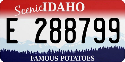 ID license plate E288799