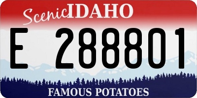 ID license plate E288801