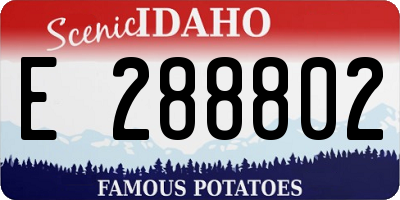 ID license plate E288802
