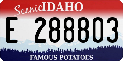 ID license plate E288803