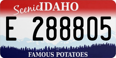 ID license plate E288805