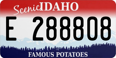 ID license plate E288808
