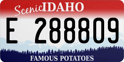 ID license plate E288809