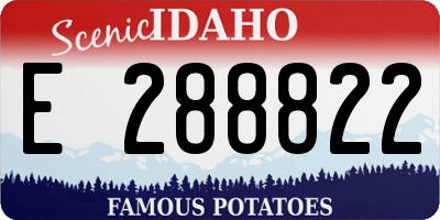ID license plate E288822