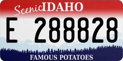 ID license plate E288828