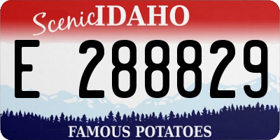 ID license plate E288829