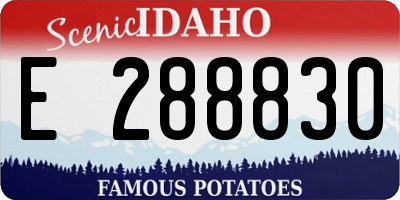 ID license plate E288830