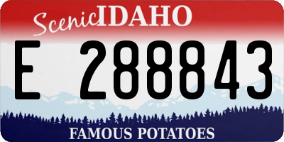 ID license plate E288843