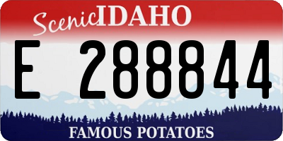 ID license plate E288844