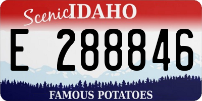 ID license plate E288846