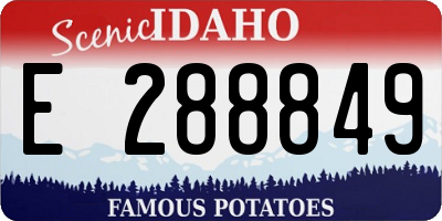 ID license plate E288849