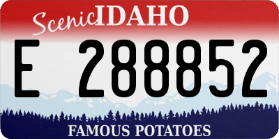 ID license plate E288852