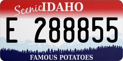 ID license plate E288855