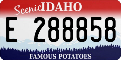 ID license plate E288858