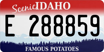 ID license plate E288859