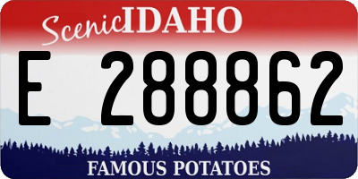 ID license plate E288862