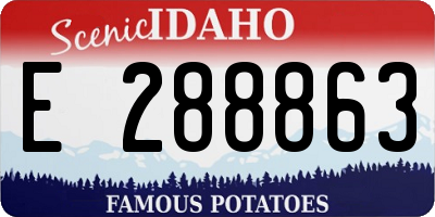 ID license plate E288863