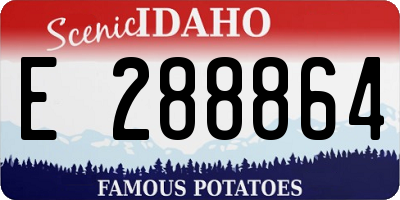 ID license plate E288864