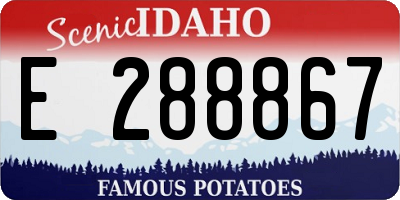 ID license plate E288867