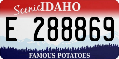 ID license plate E288869