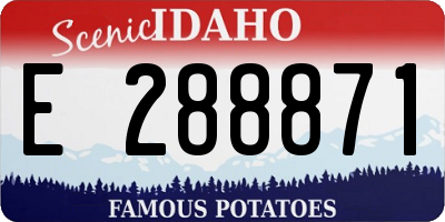 ID license plate E288871