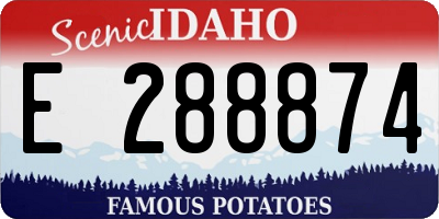 ID license plate E288874