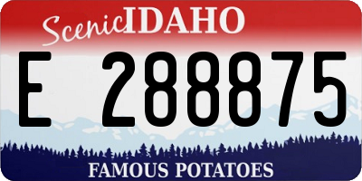 ID license plate E288875