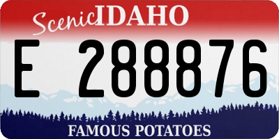 ID license plate E288876