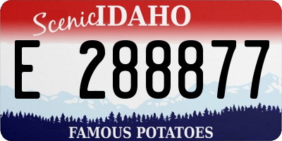 ID license plate E288877