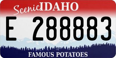 ID license plate E288883