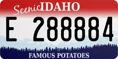 ID license plate E288884