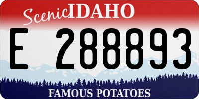 ID license plate E288893