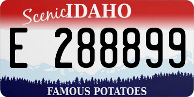ID license plate E288899
