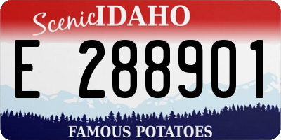 ID license plate E288901