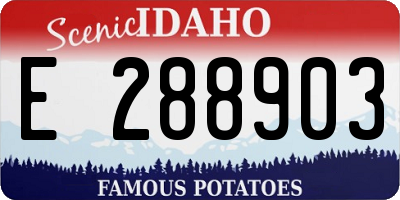ID license plate E288903