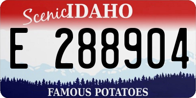 ID license plate E288904