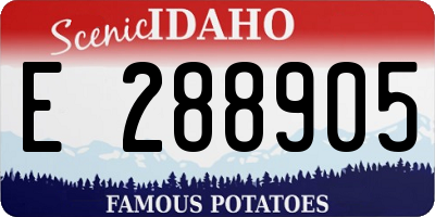 ID license plate E288905